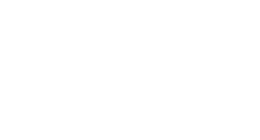 ESG Airsoft