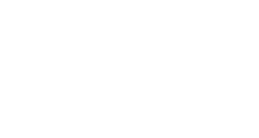 ESG Airsoft